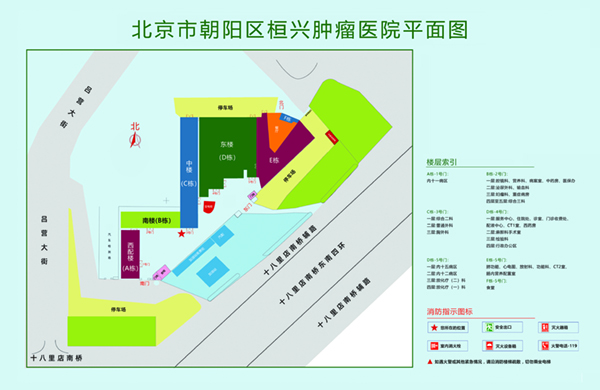 操操操操逼视频动漫北京市朝阳区桓兴肿瘤医院平面图